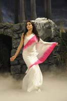 Genelia DSouza Pictures